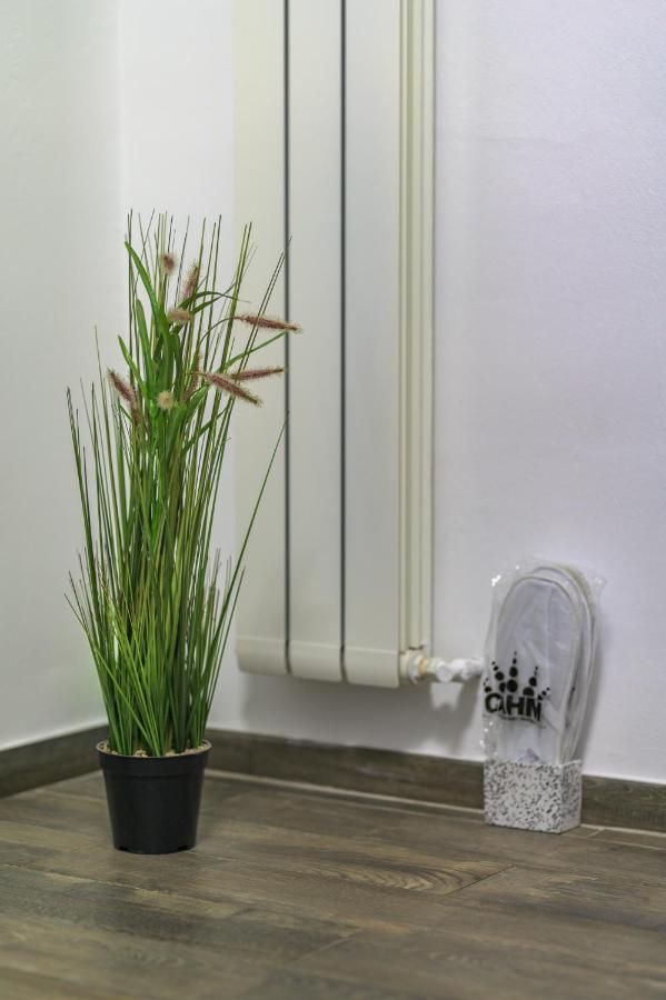 Apartment Queen Sibiu Bagian luar foto